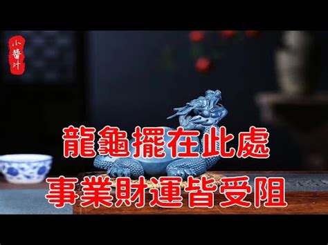 龍龜 房間|龍龜可以放房間嗎？ 風水專家教你擺放臥室龍龜的秘訣